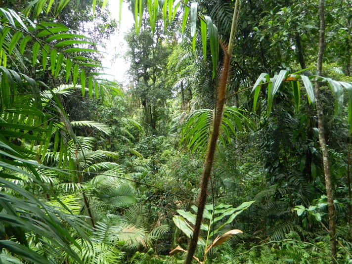 DSCN3596.JPG