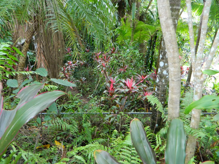 DSCN3677.JPG