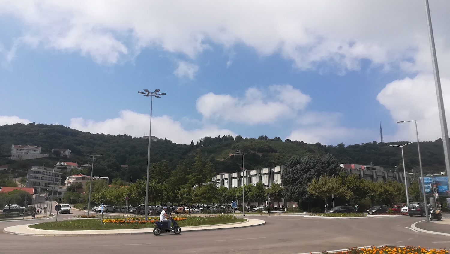 IMG_20180707_110356.jpg