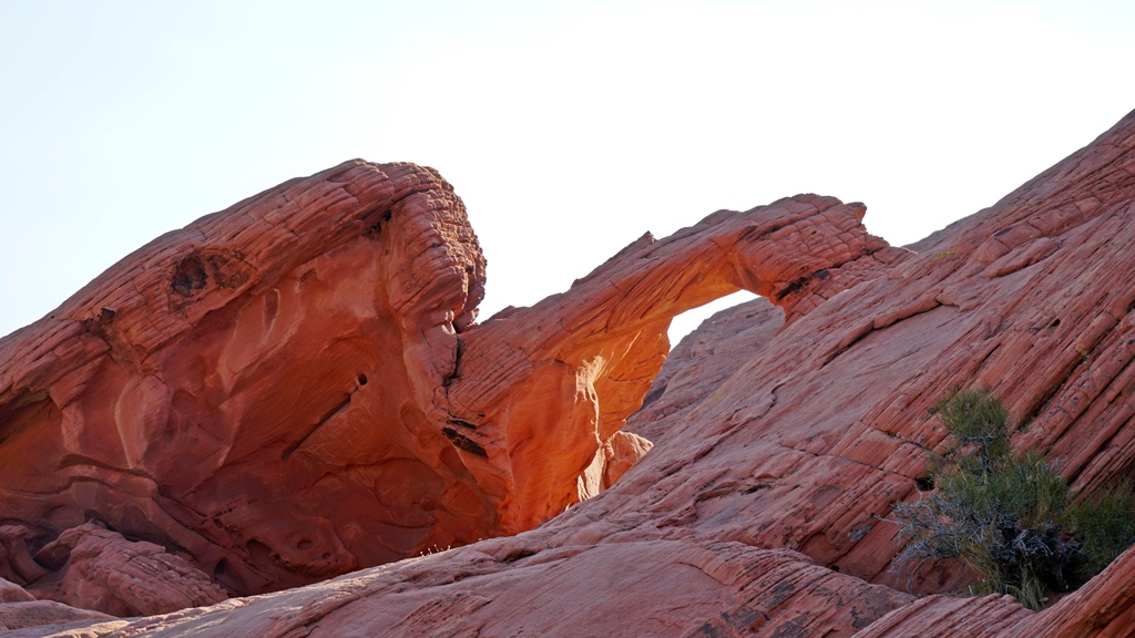 _DSC02014_m.JPG