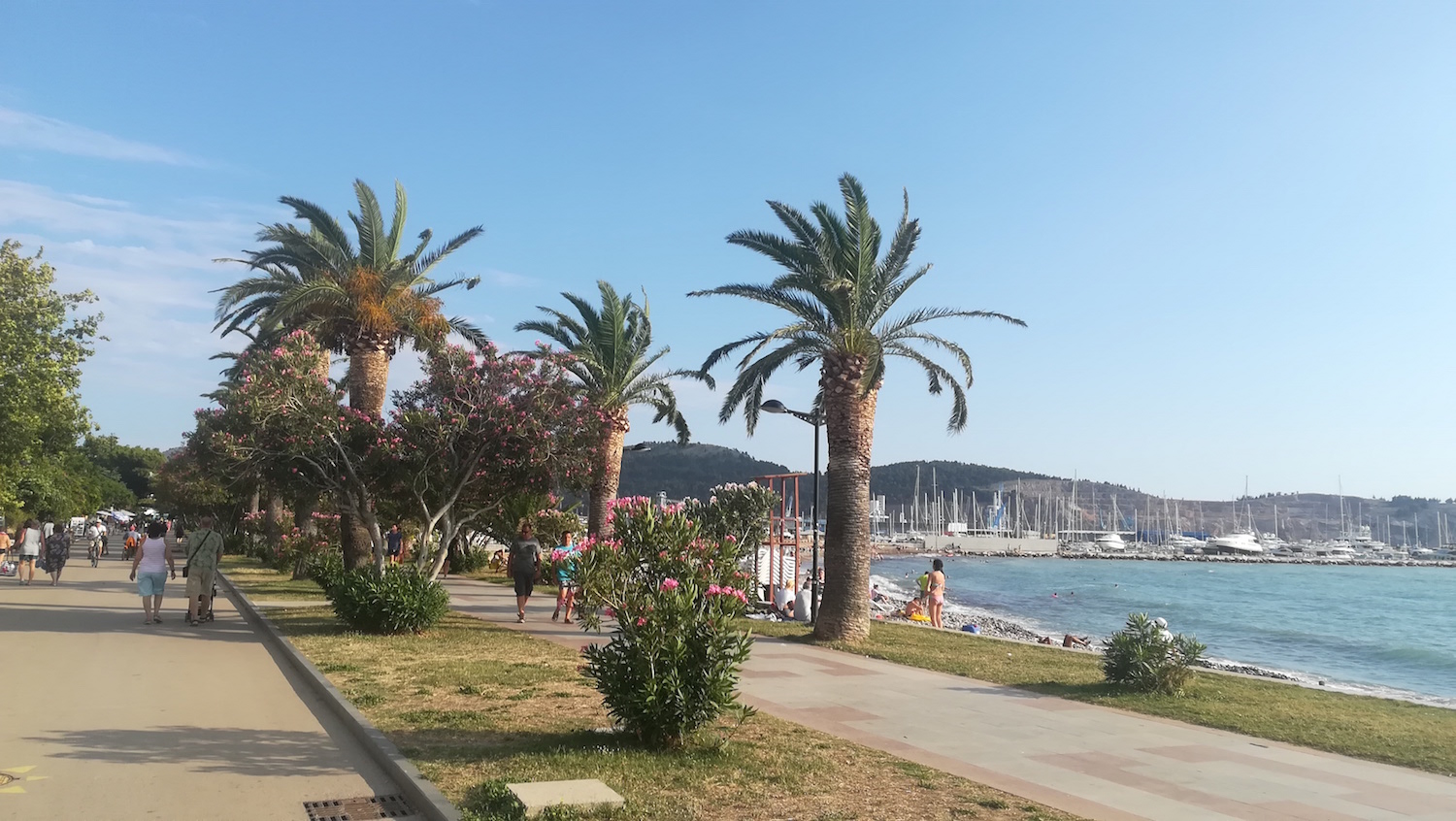 IMG_20180708_180447.jpg