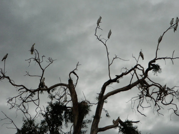 DSCN3909.JPG