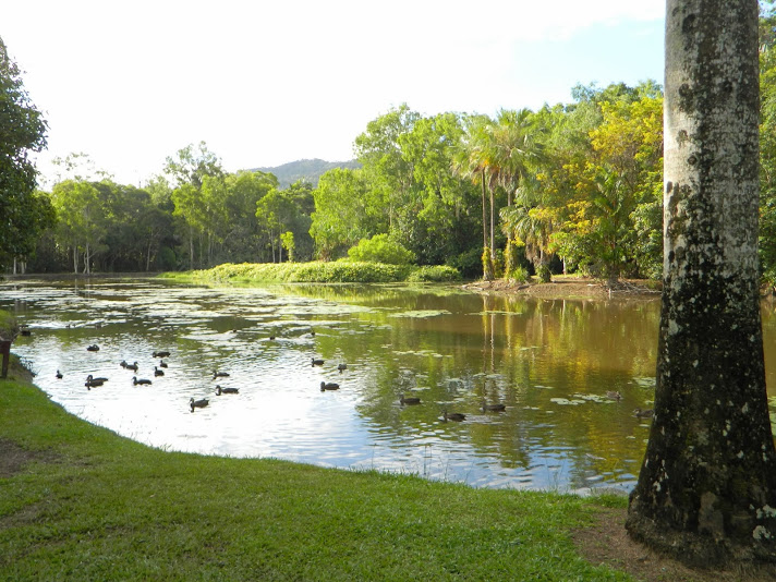 DSCN3907.JPG