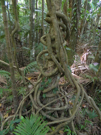 DSCN3901.JPG