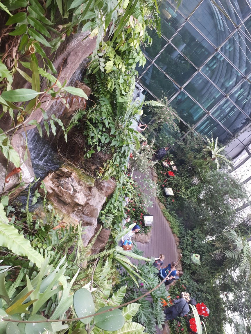 20180916_080653-864x1152.jpg