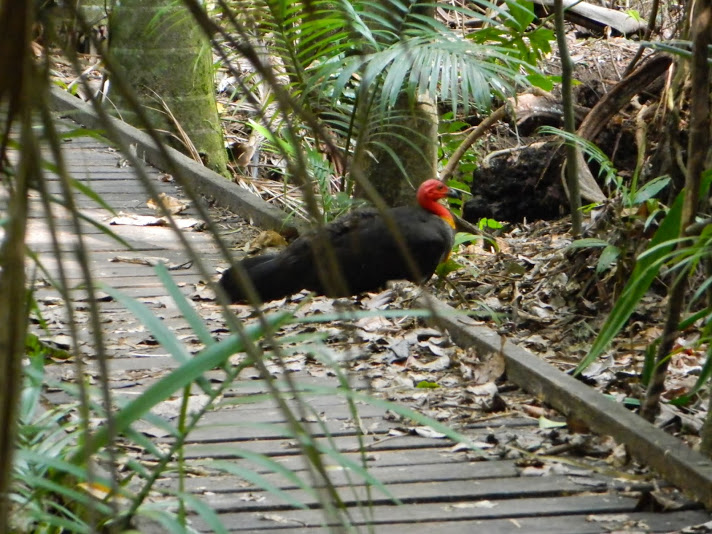 DSCN3893.JPG