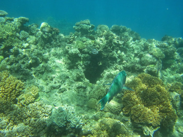 RIMG0569.JPG