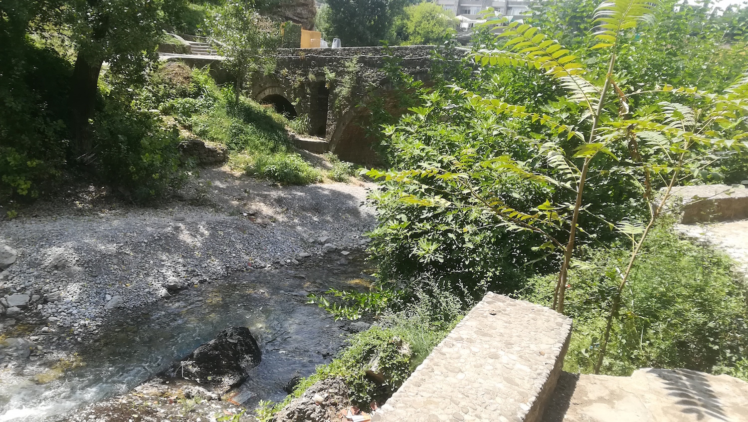 IMG_20180709_125001.jpg