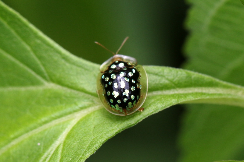 9E8A3774.JPG