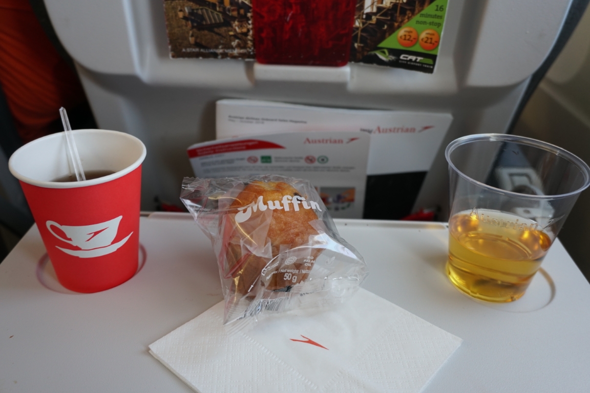 Austrian A321_VIE-CDG.JPG