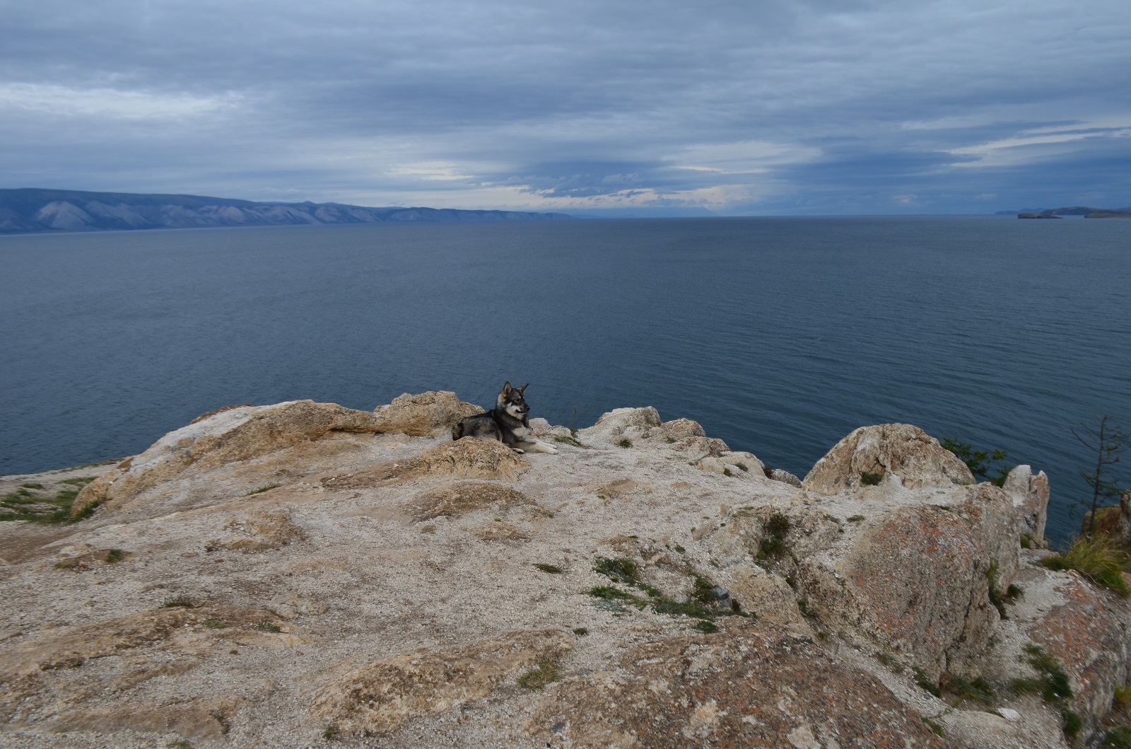 DSC_0313.JPG