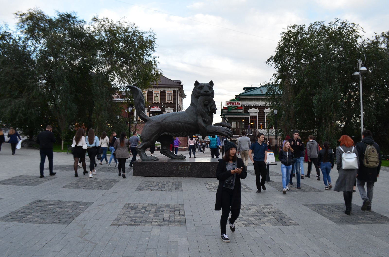 DSC_0517.JPG
