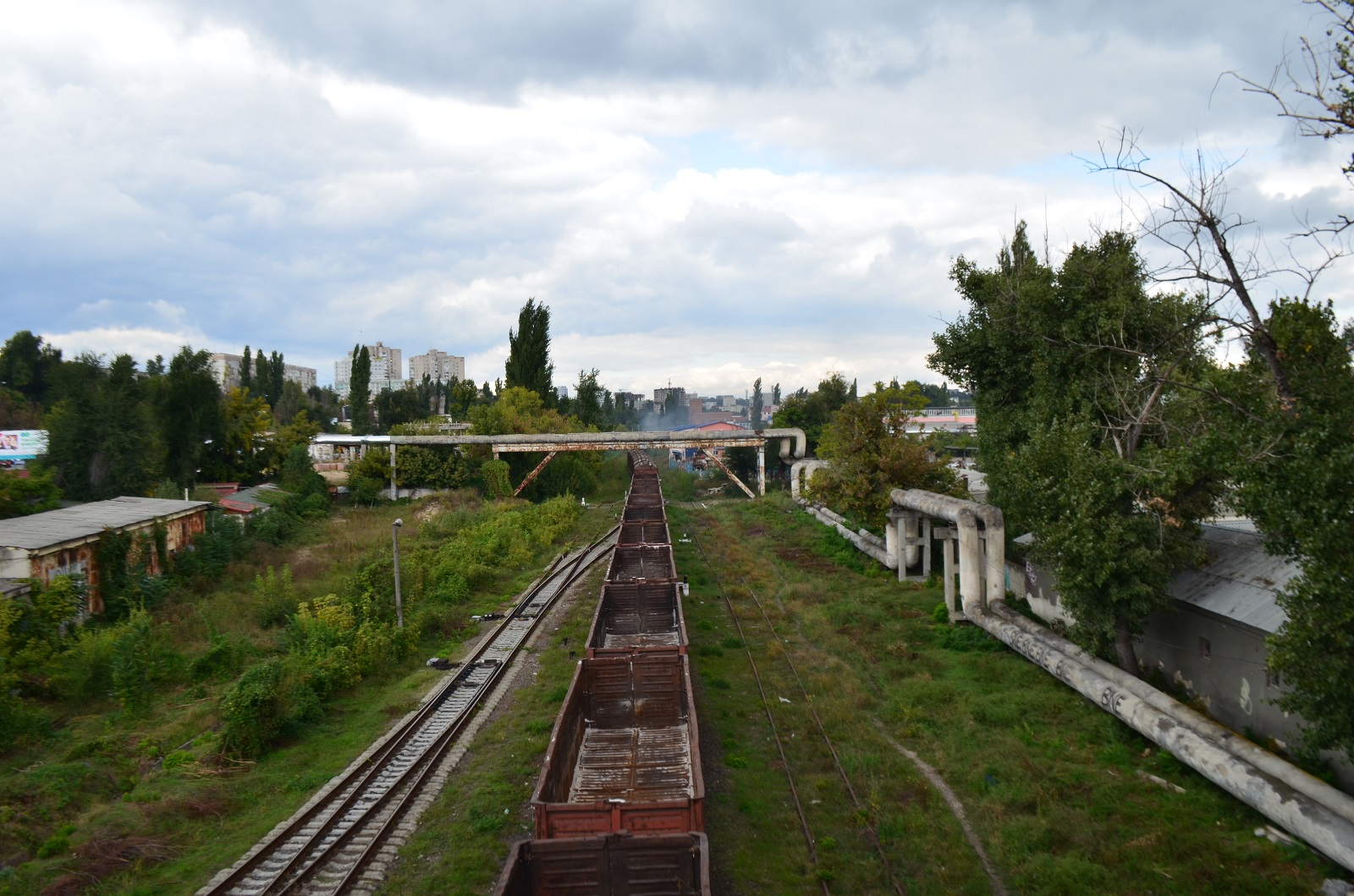 DSC_0963.JPG