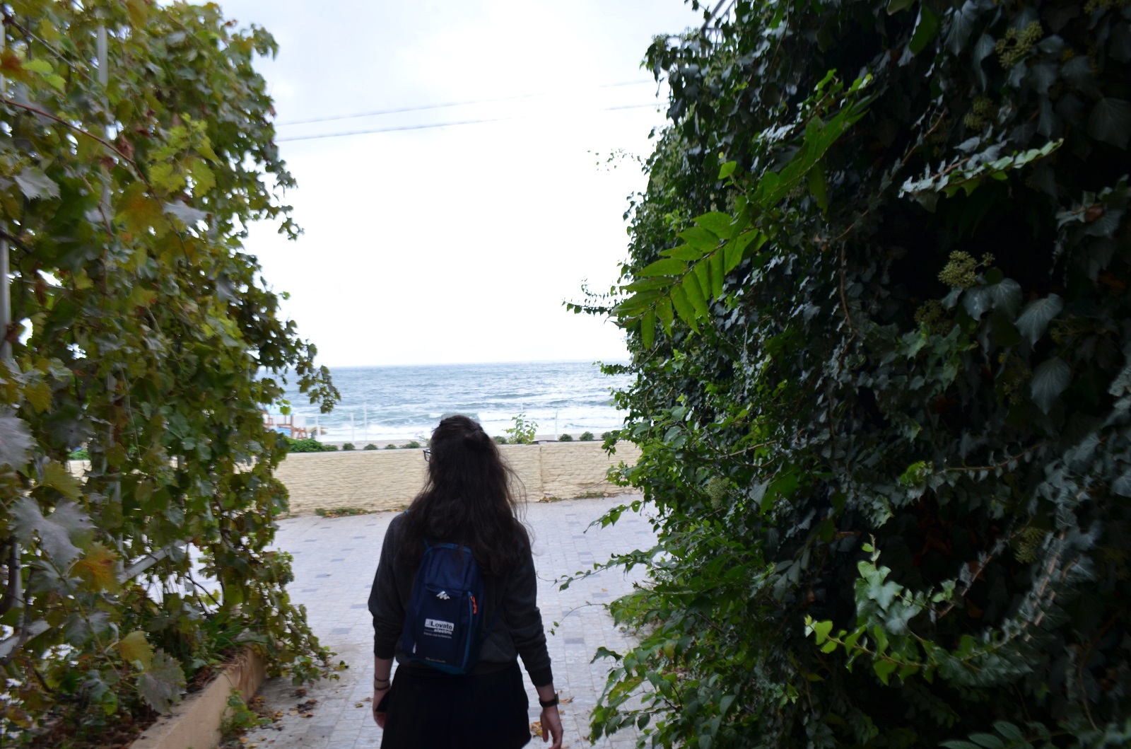 DSC_0915.JPG
