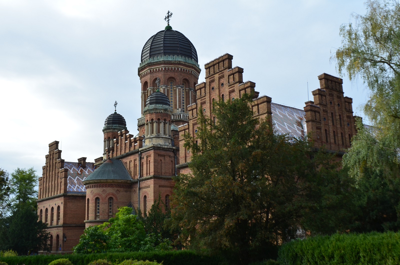 DSC_0249.JPG