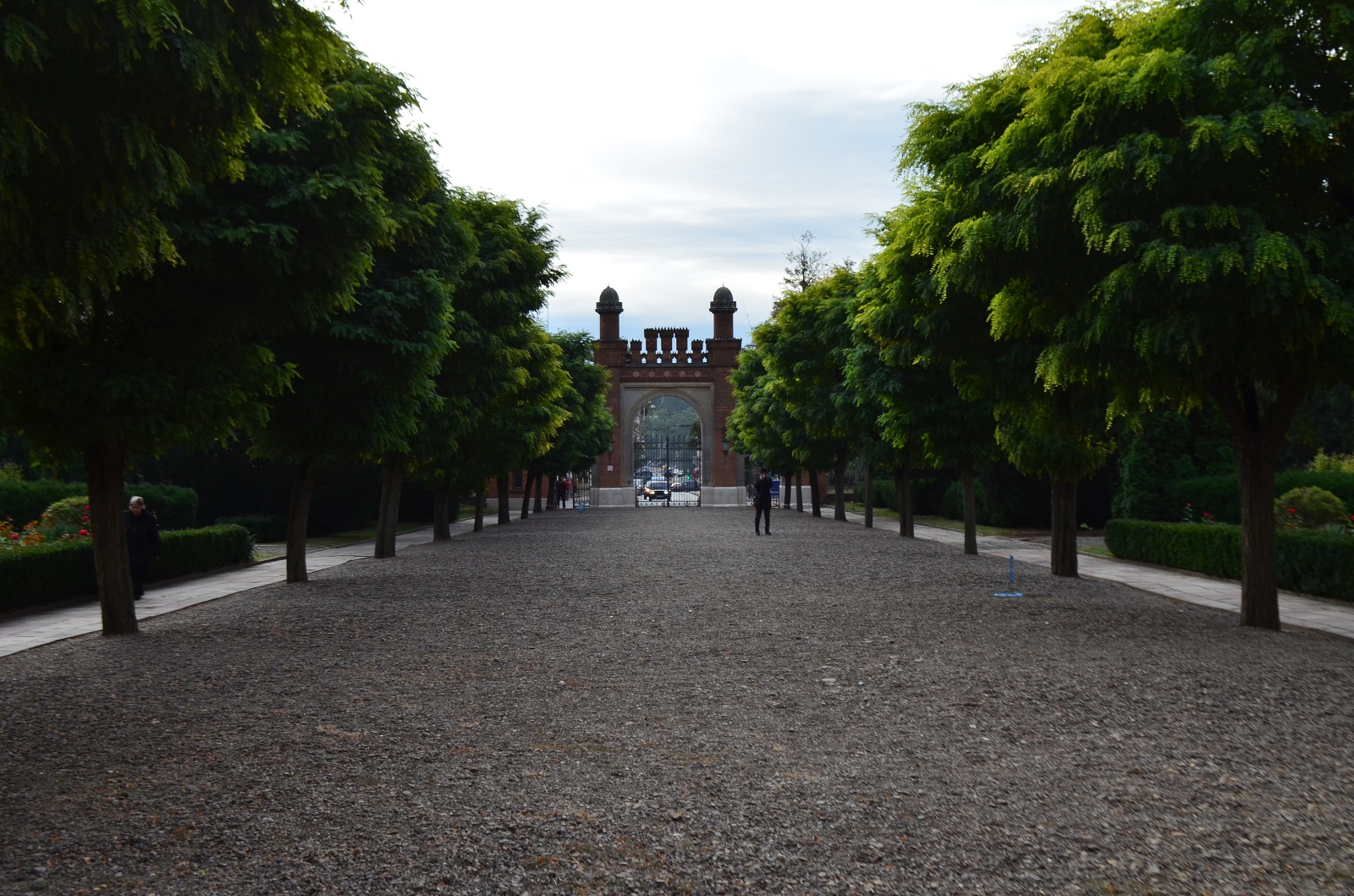 DSC_0250.JPG