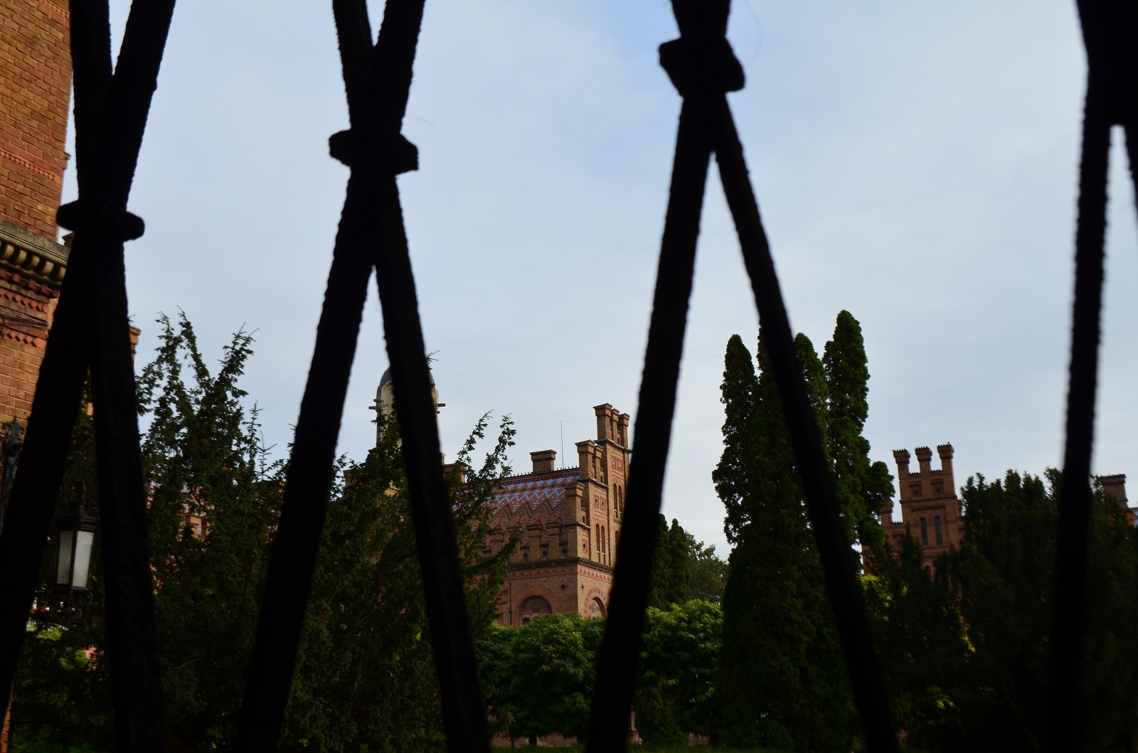 DSC_0253.JPG