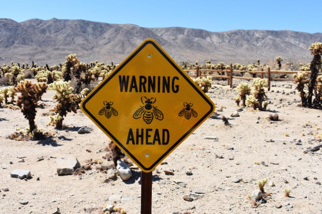 DSC_0074.JPG