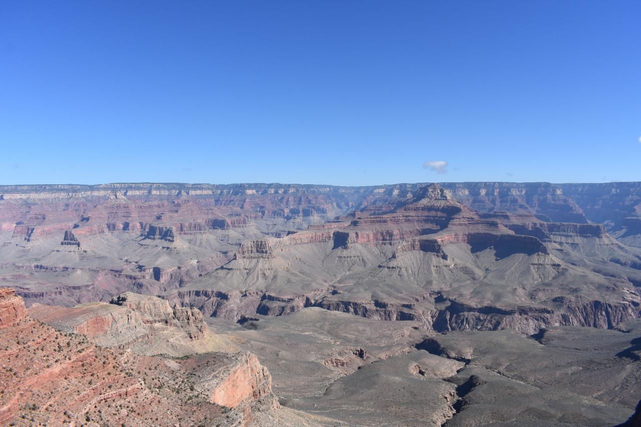 DSC_0195.JPG