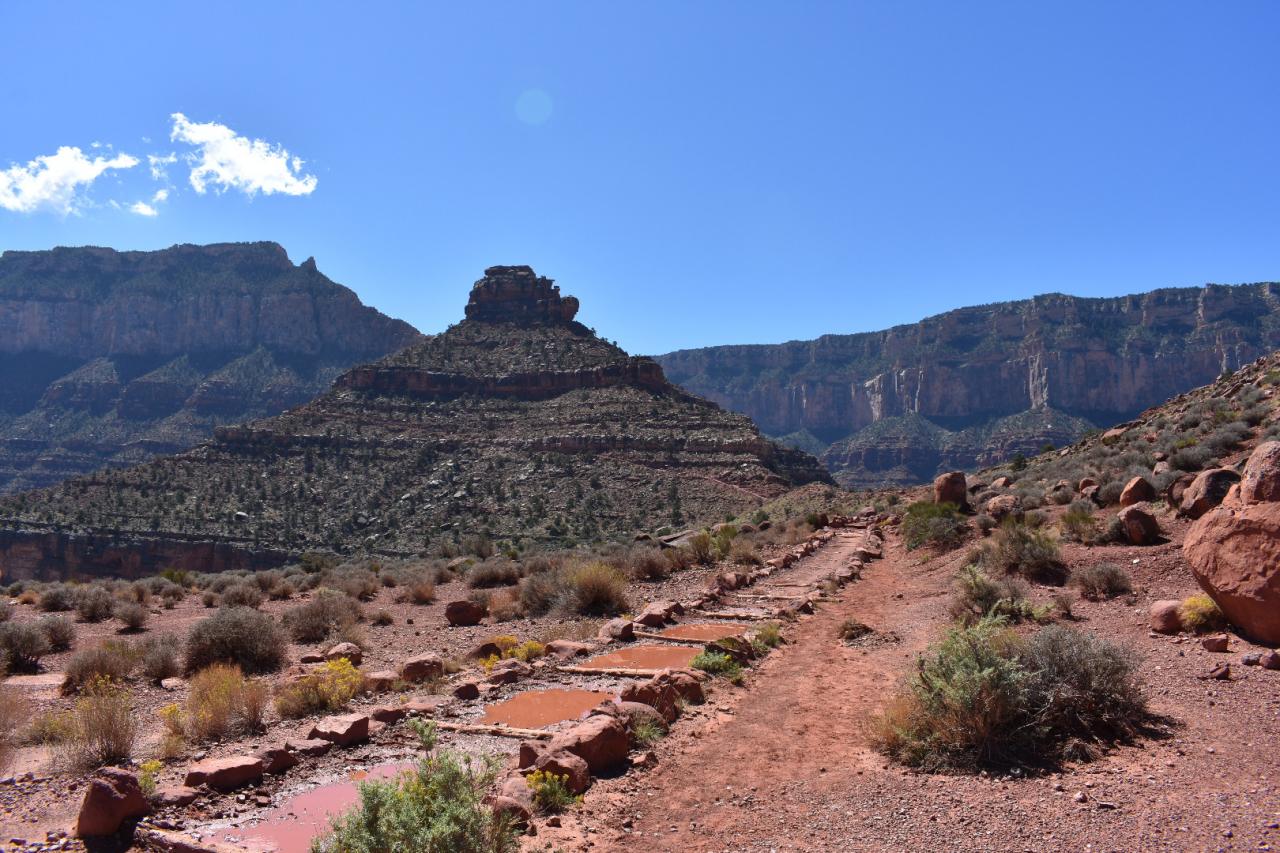 DSC_0222.JPG