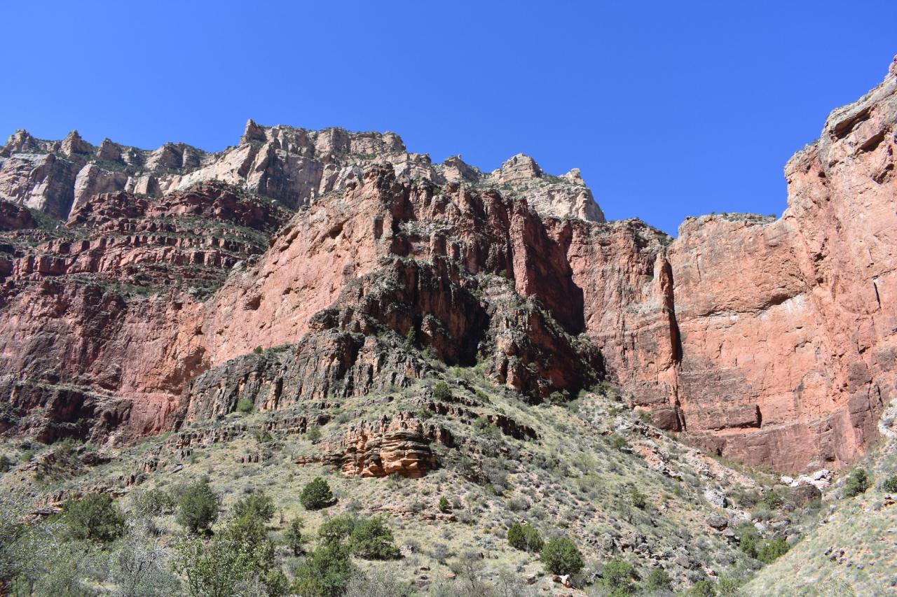 DSC_0339.JPG