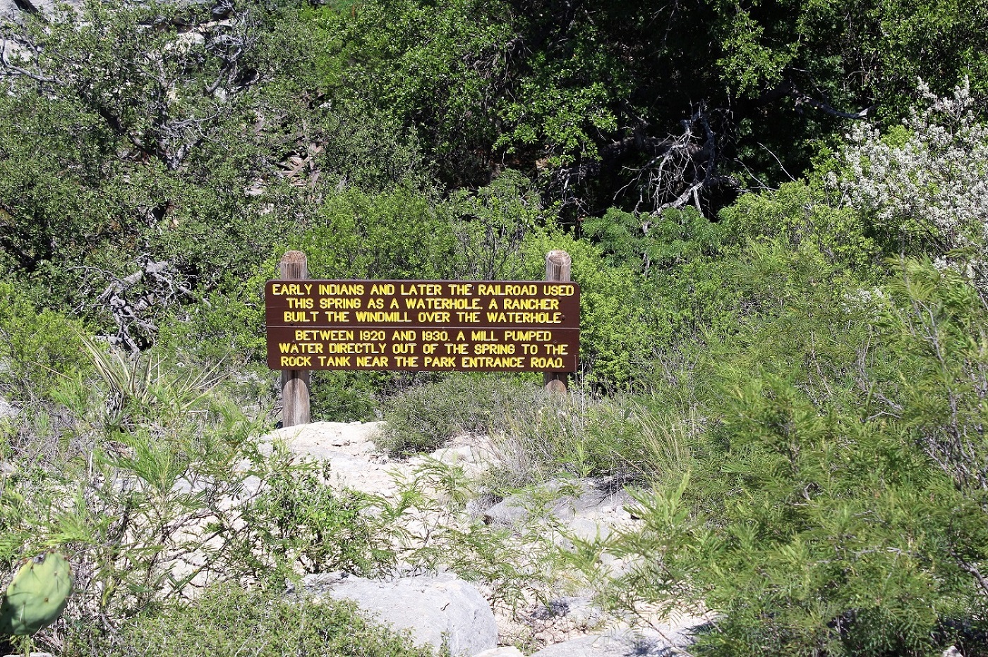 157.JPG