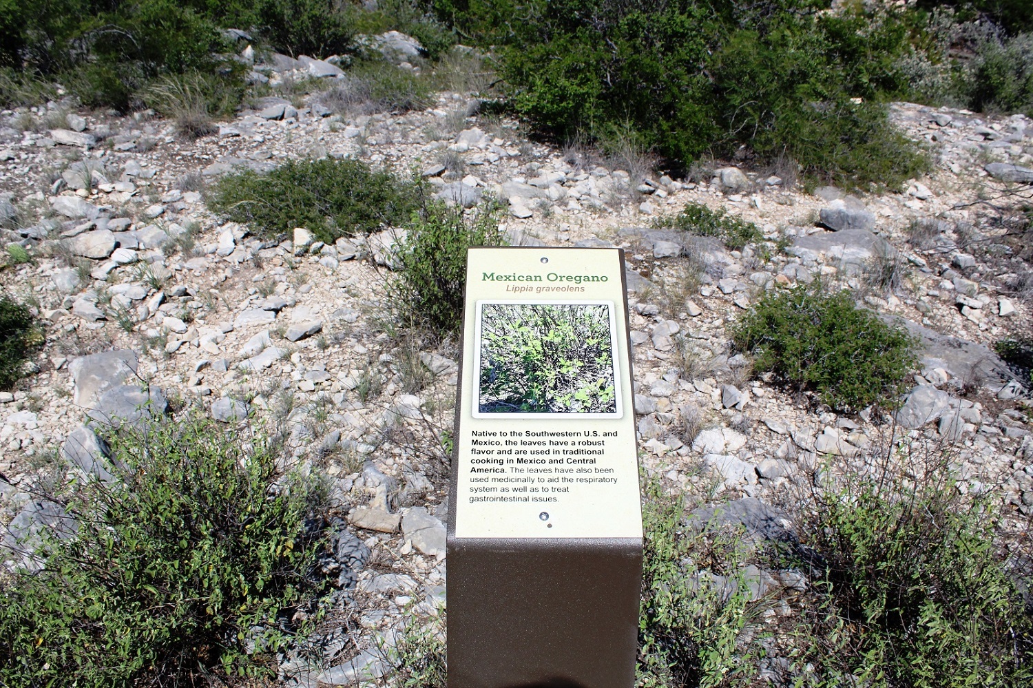 158.JPG