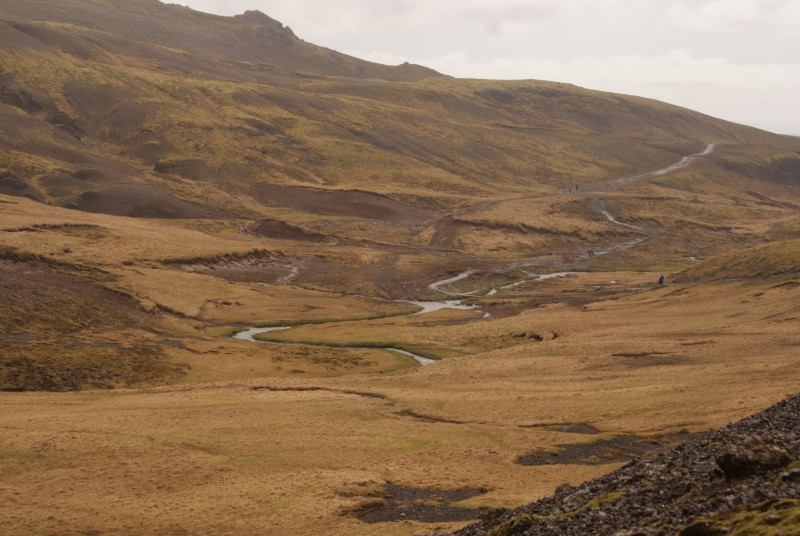 DSC07976.JPG