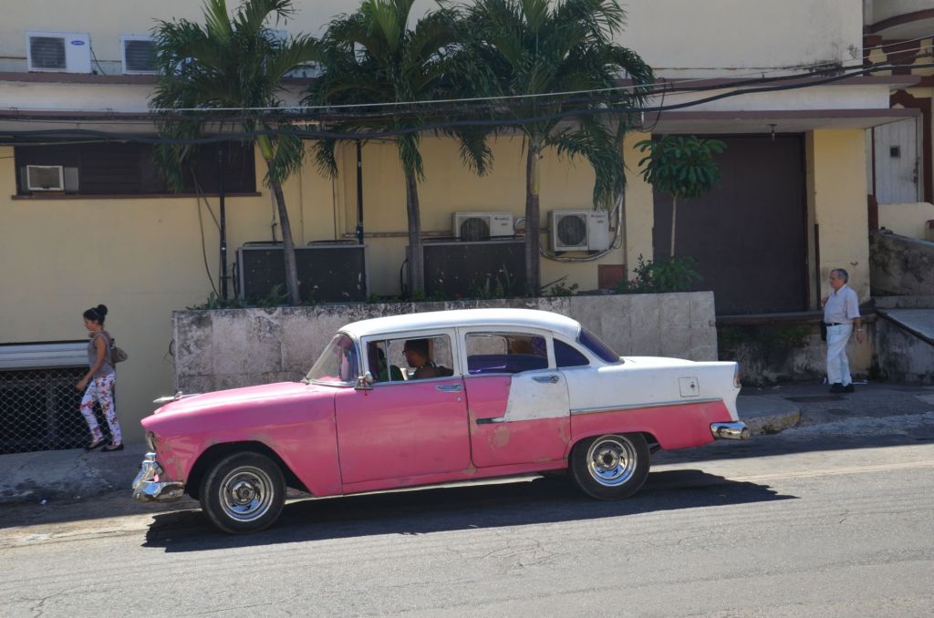 DSC_0371.JPG