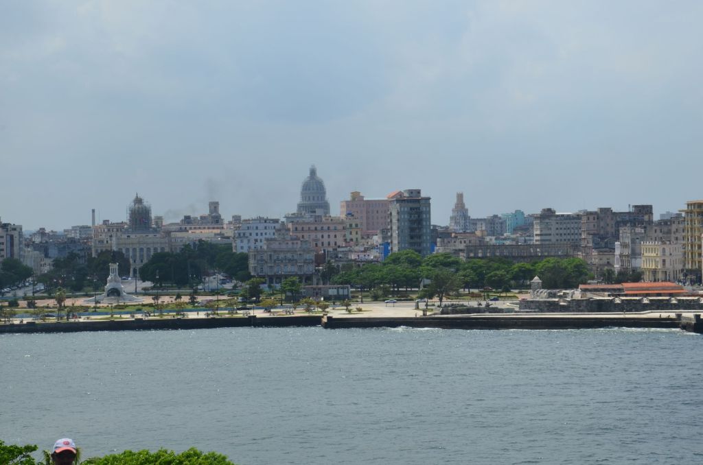 DSC_0731.JPG
