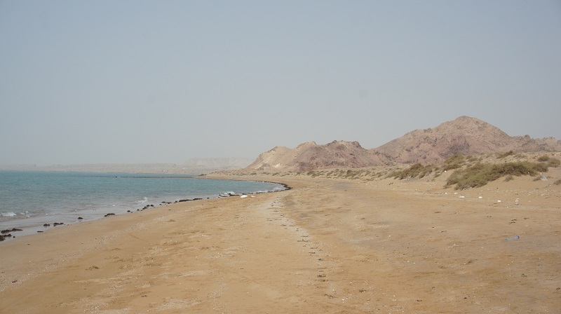 fot8.jpg