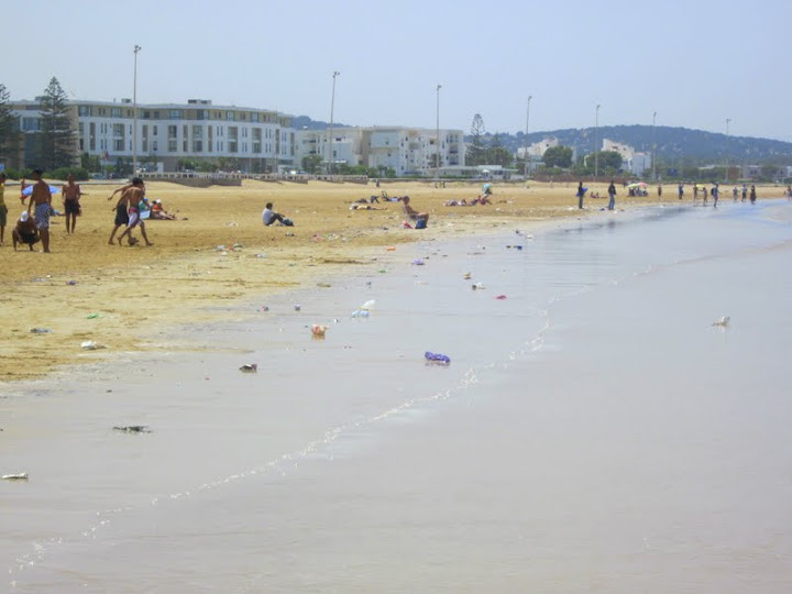 IMG_2596.JPG