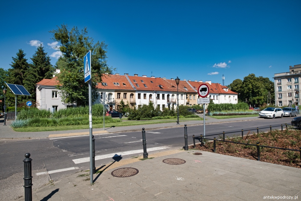 010.JPG