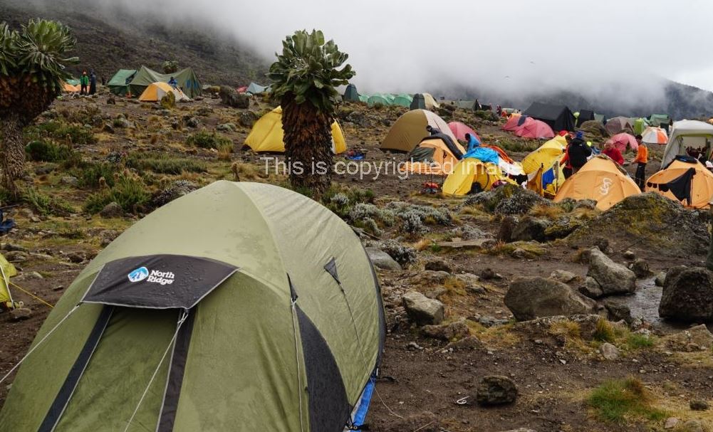 Kilimanjaro.JPG
