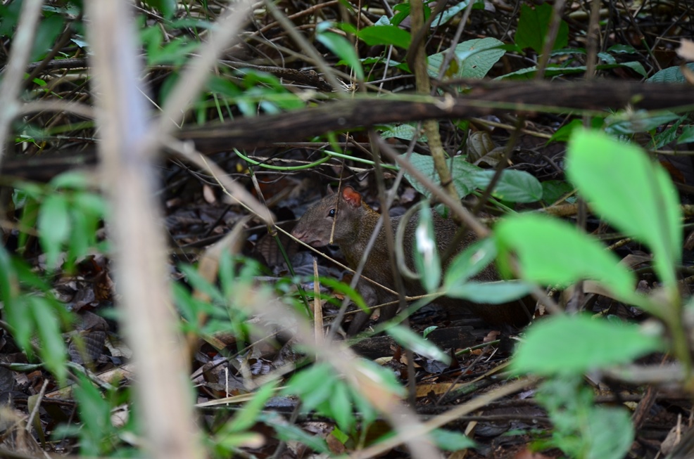DSC_8978.jpg
