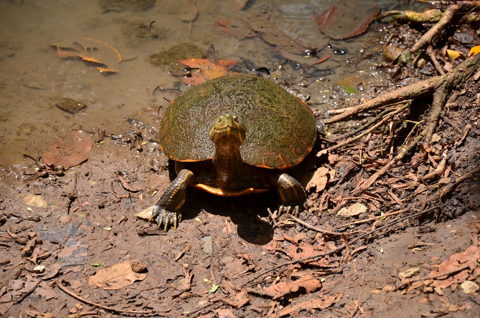 DSC_9095.jpg
