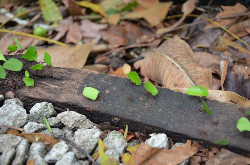 DSC_9020.jpg