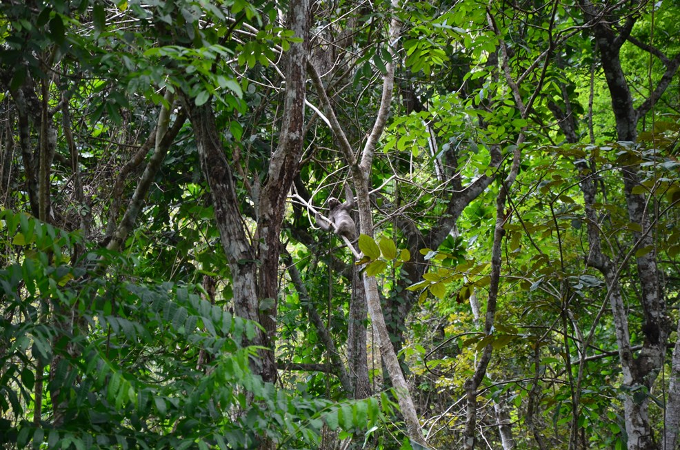 DSC_9087.jpg