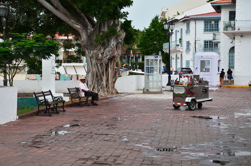 DSC_8941.jpg