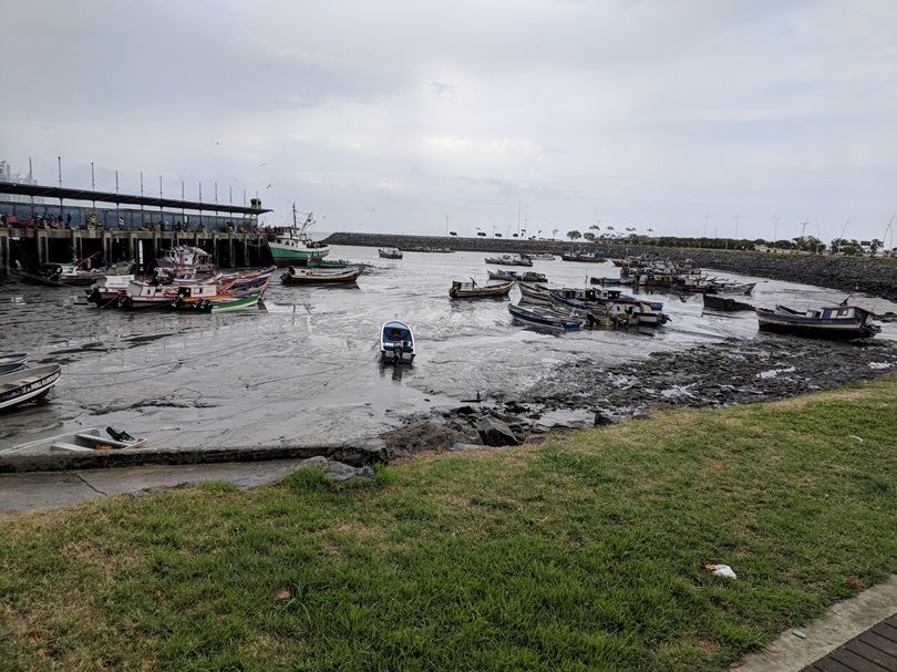 IMG_20180422_134904.jpg