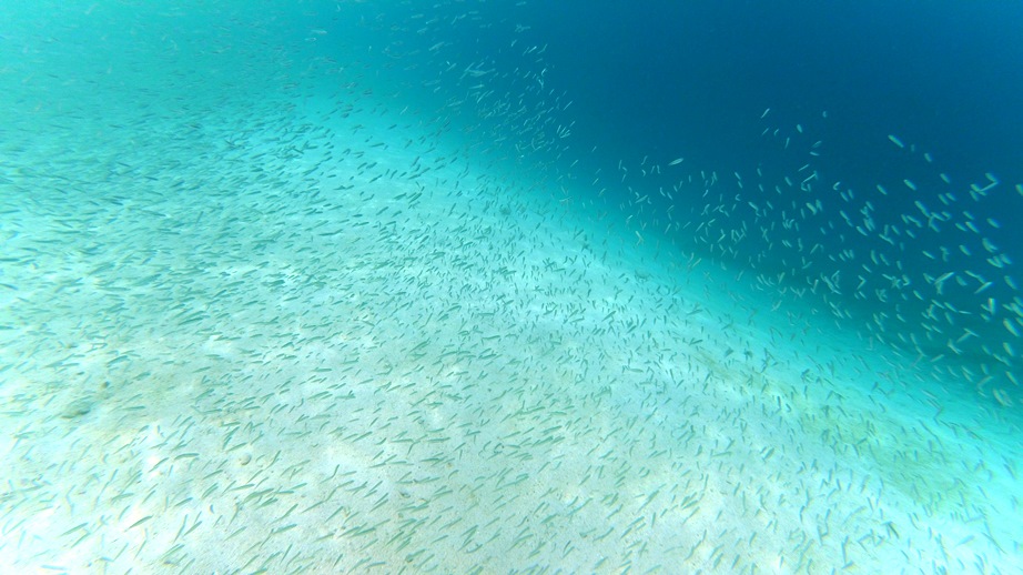 YDXJ0958.jpg
