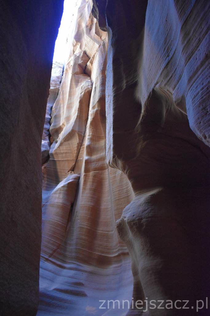 DSC_0468.JPG
