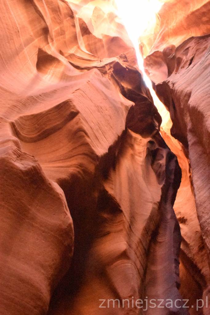 DSC_0531.JPG