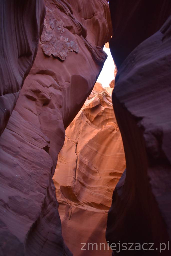 DSC_0657.JPG