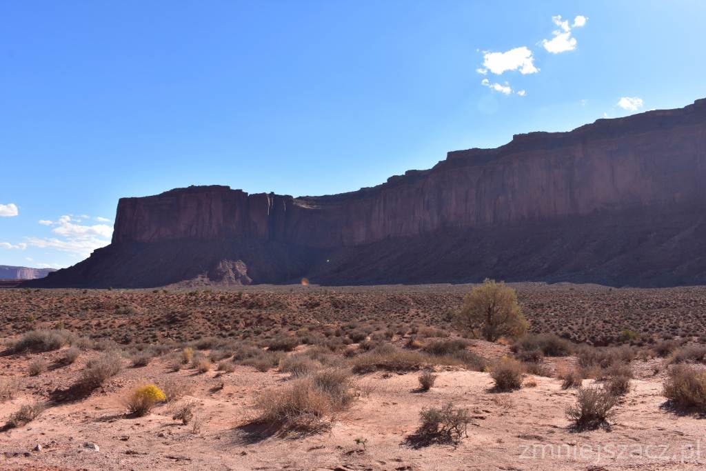 DSC_0768.JPG
