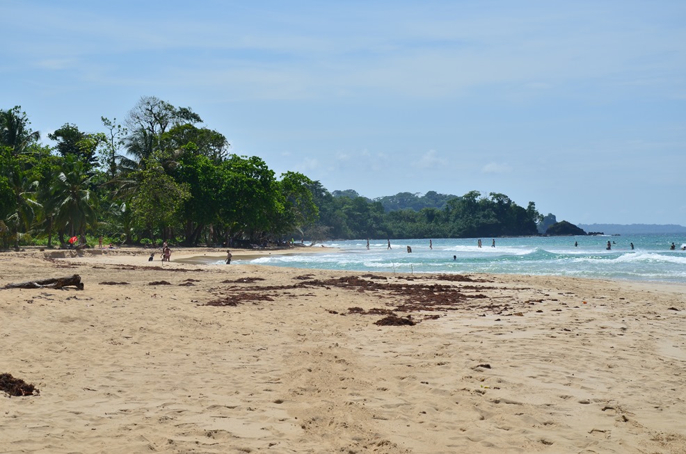 DSC_9205.jpg