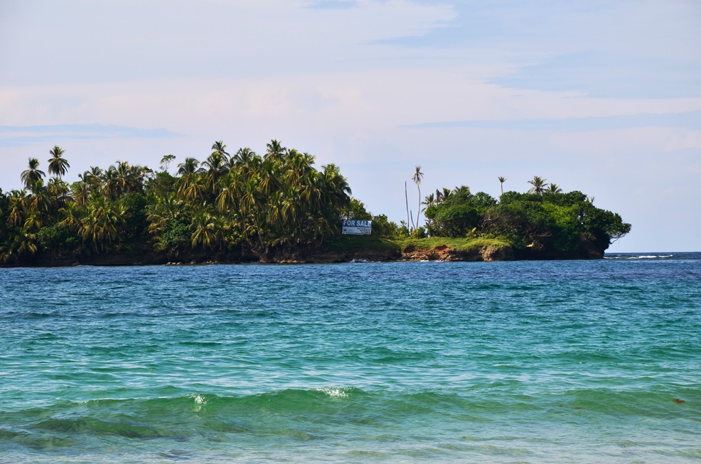 DSC_9226.jpg