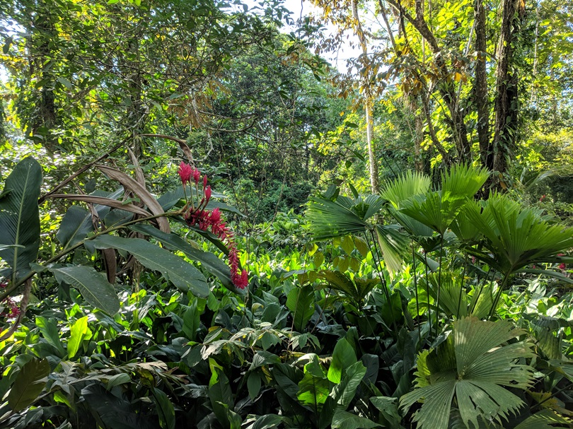 IMG_20180429_162534.jpg