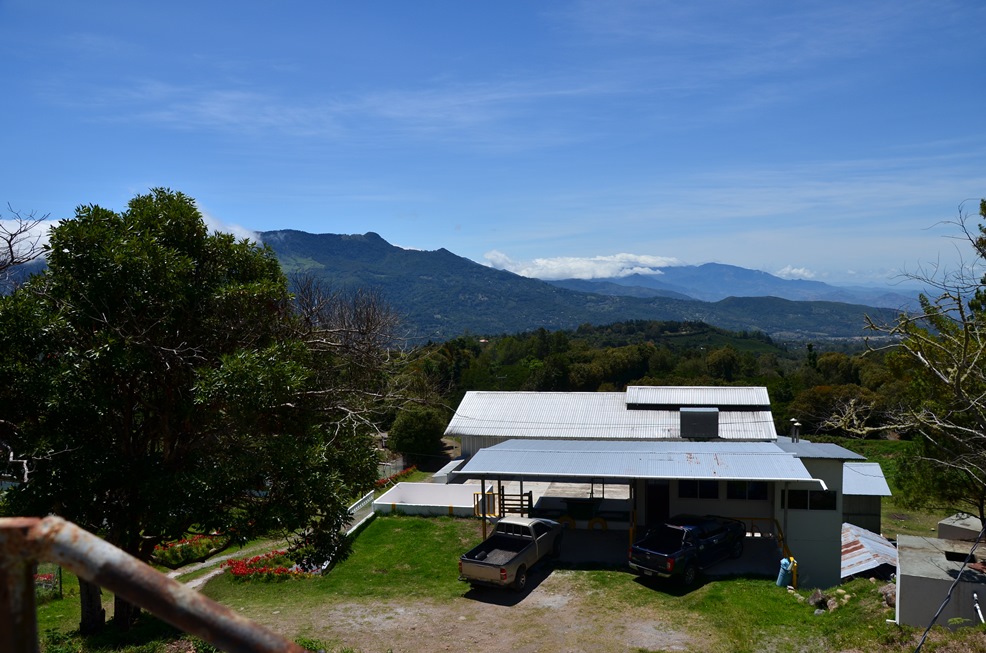 DSC_9262.jpg