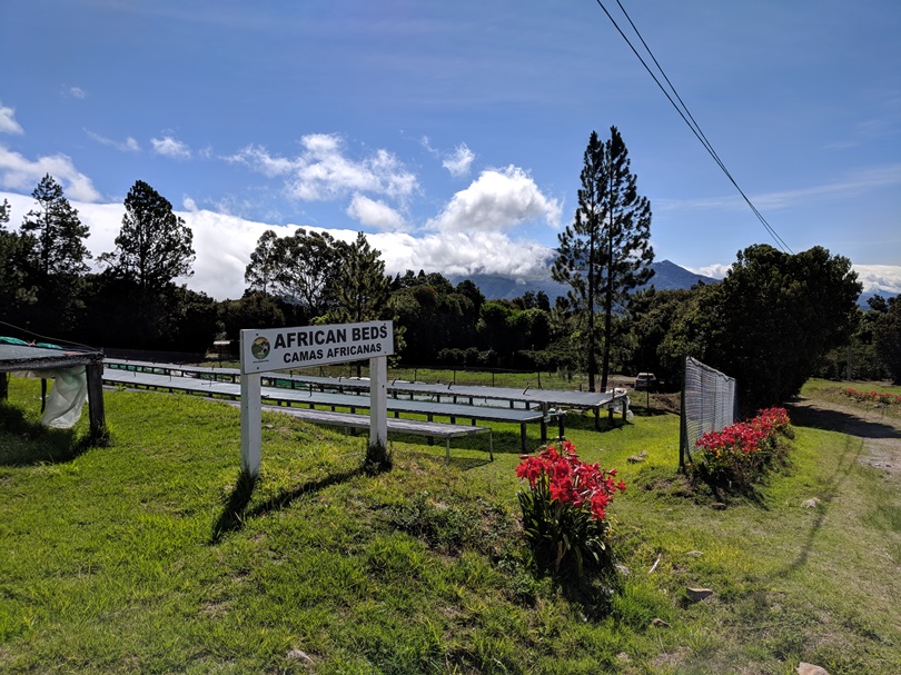 IMG_20180502_095803.jpg